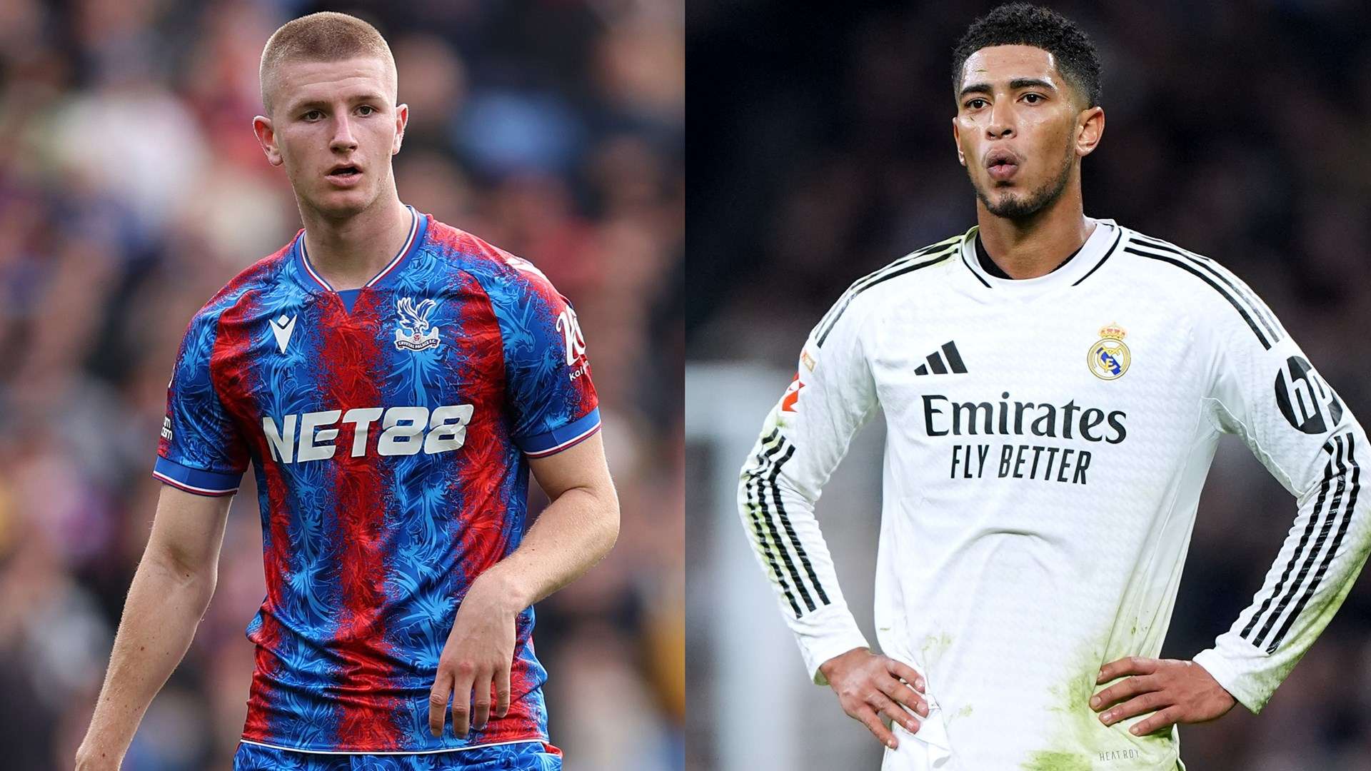 永不言败精 永不言败精